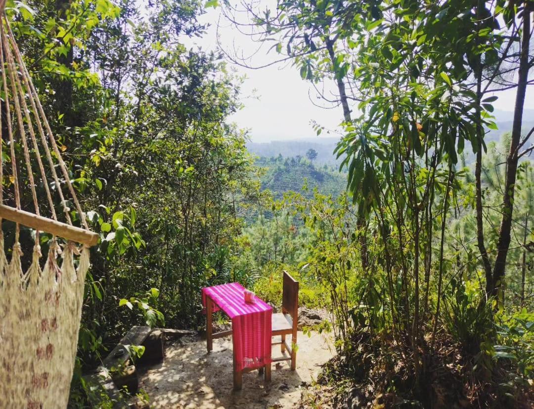Paraiso Verde Chijou Kültér fotó