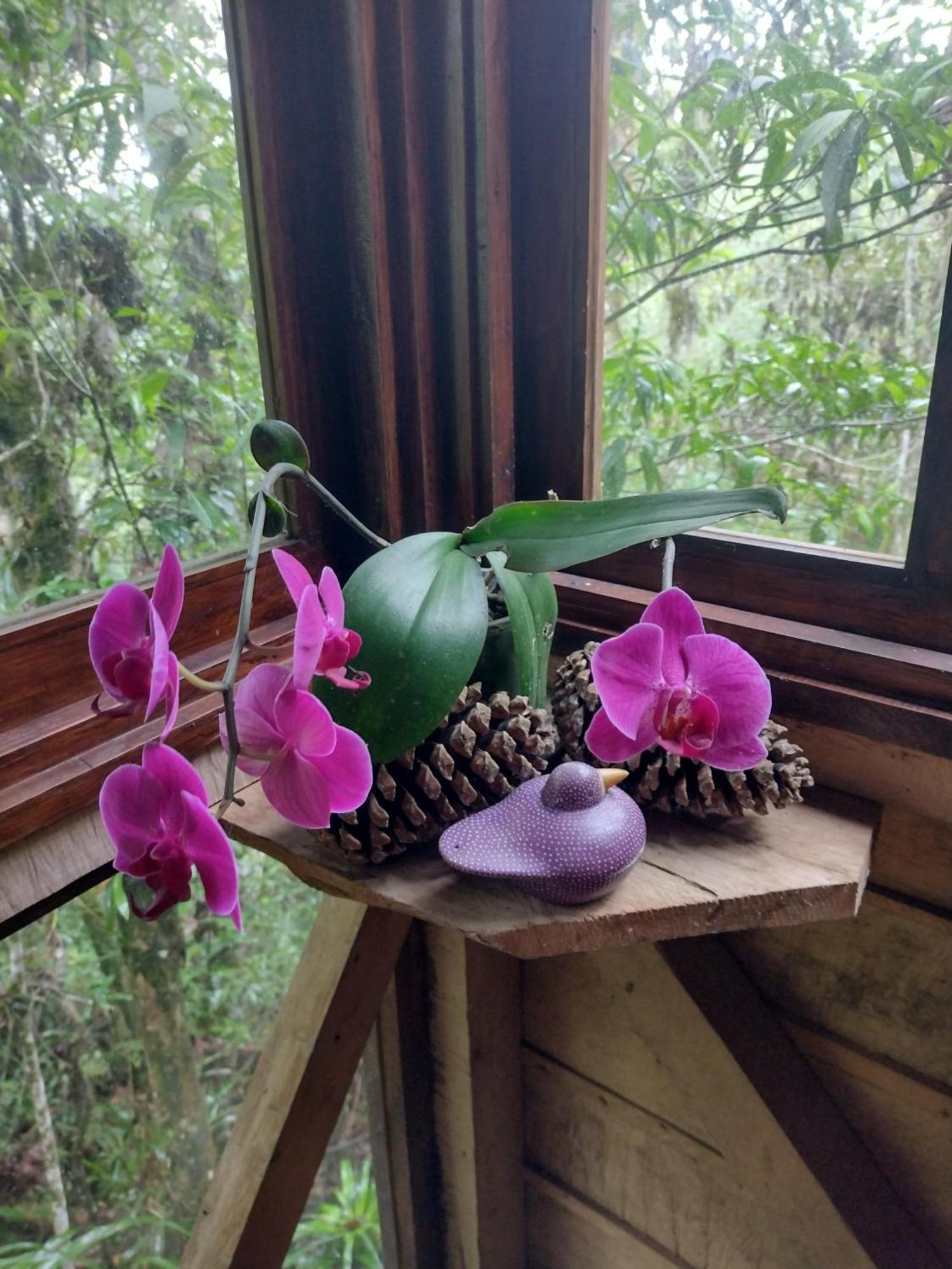 Paraiso Verde Chijou Kültér fotó