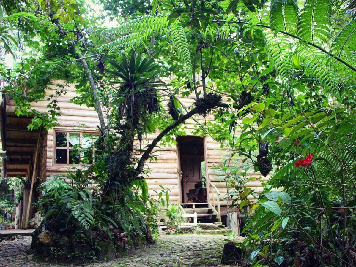 Paraiso Verde Chijou Kültér fotó