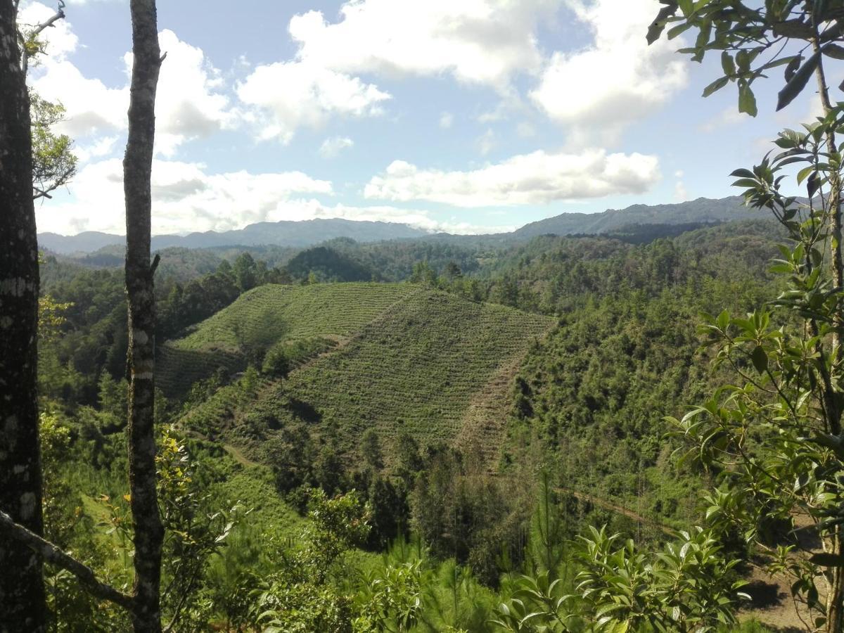 Paraiso Verde Chijou Kültér fotó